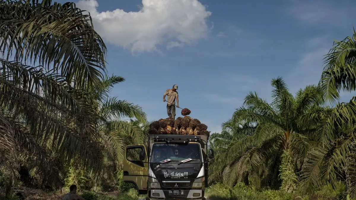 Palmolja i biodrivmedel