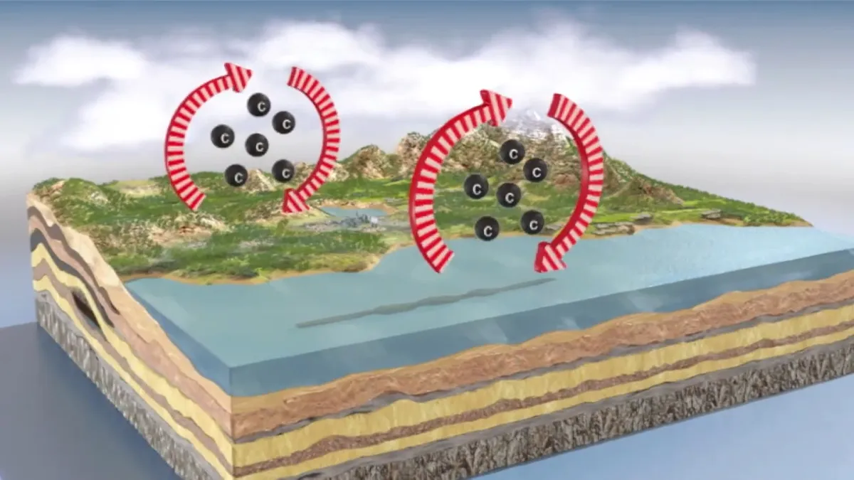 kolets kretslopp enkel bild