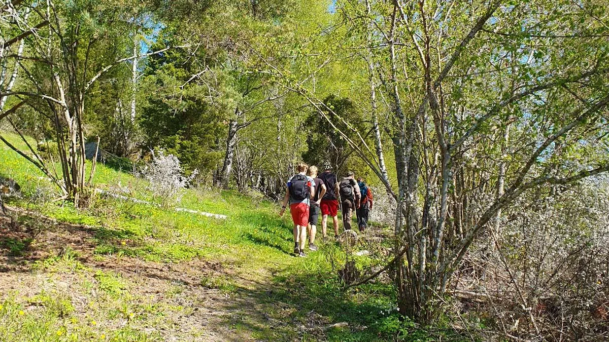 Stödjande ekosystemtjänster är grunden till allt